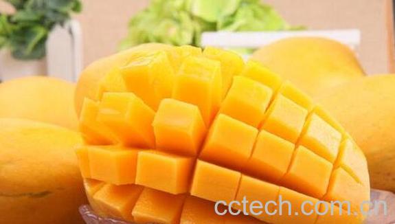 芒果不能和什么一起吃 芒果的禁忌-1