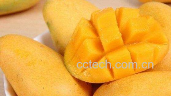 芒果不能和什么一起吃 芒果的禁忌-0