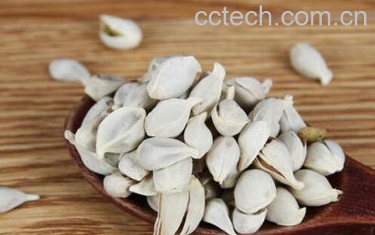 桔子籽粉的功效与作用及副作用-0