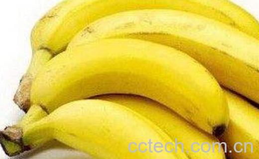 早上吃什么水果减肥效果最好-1