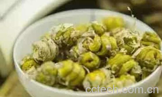 石斛泡水一次几个 石斛泡水的正确方法-1