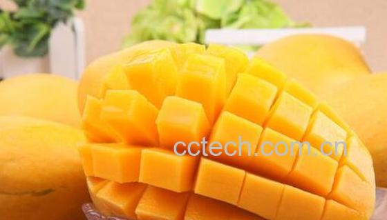 芒果不能和什么一起吃 芒果与什么食物相克-1