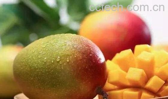 吃芒果过敏怎么办 芒果过敏治疗小妙招-1
