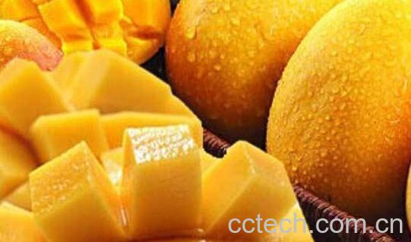 芒果不能和什么一起吃 芒果与什么食物相克-0