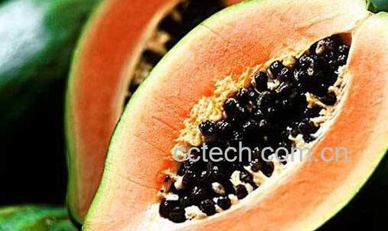 木瓜生吃的正确吃法 木瓜怎么生吃步骤-0