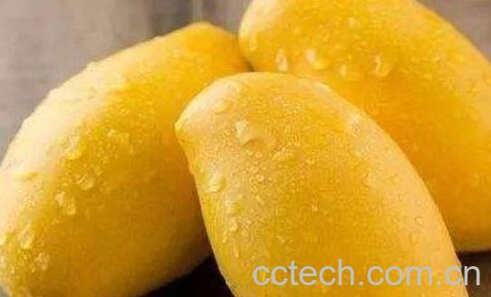 怎么区分芒果能不能吃 吃芒果的好处-0