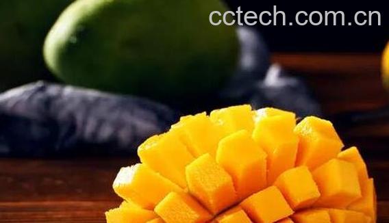 女人吃芒果的好处 女人吃芒果有什么坏处-0