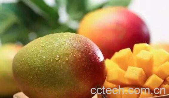 女人吃芒果的好处 女人吃芒果有什么坏处-1