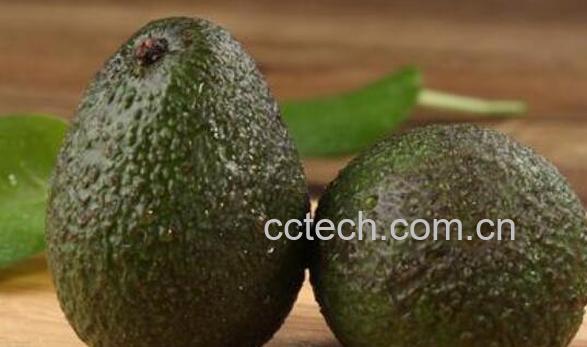 10分钟催熟牛油果 快速催熟牛油果方法-1