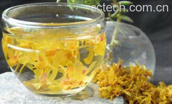 石斛泡水喝的功效与作用 石斛不能和什么一起泡水喝-0