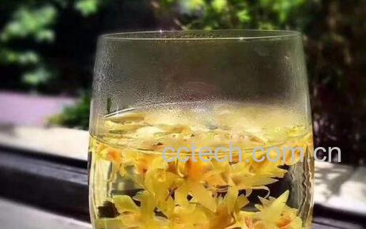 石斛泡水喝的功效与作用 石斛不能和什么一起泡水喝-1