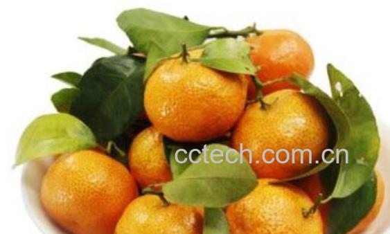 橘和桔子的区别 吃桔子的好处-0