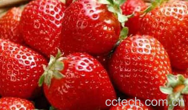 每天吃草莓的最佳时间 吃草莓怎么吃好-0
