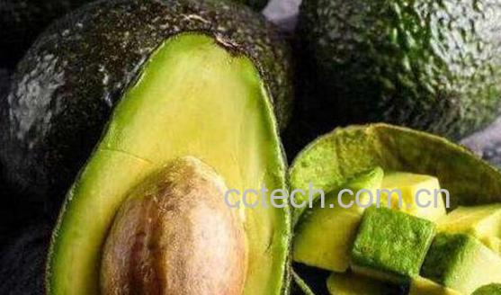牛油果怎么吃最好吃-0