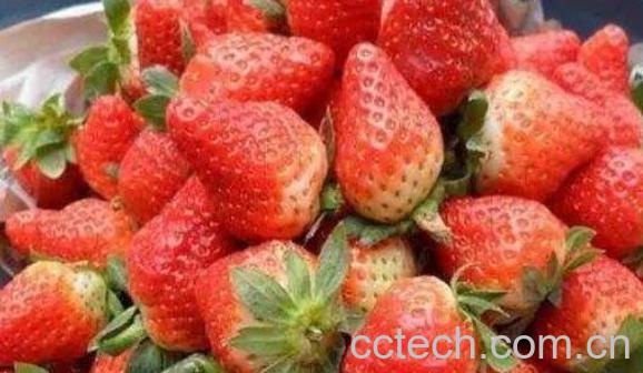 女孩子多吃草莓有什么好处-0