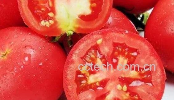 热量最低的水果排名-1