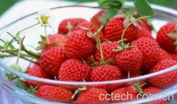 吃草莓对皮肤有什么好处-0