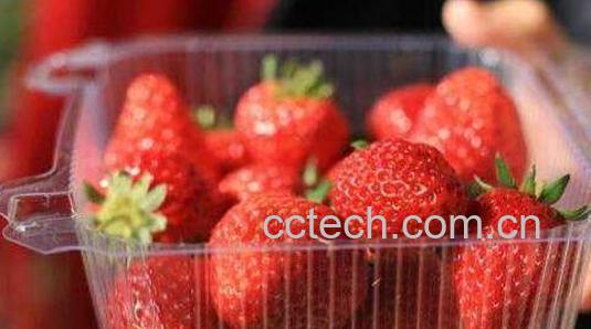 哪些人不宜吃草莓 吃草莓的禁忌-0