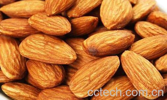 巴旦木仁的功效及禁忌-0