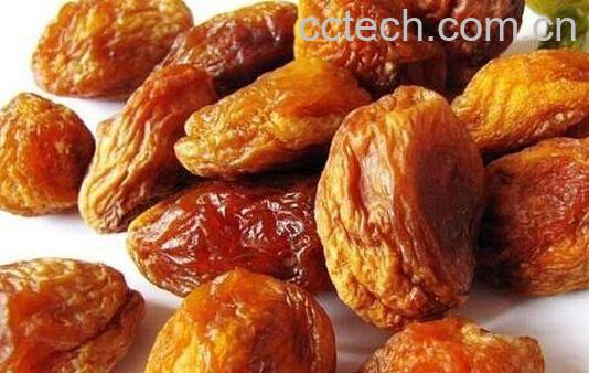 杏脯肉的功效与作用及禁忌-1