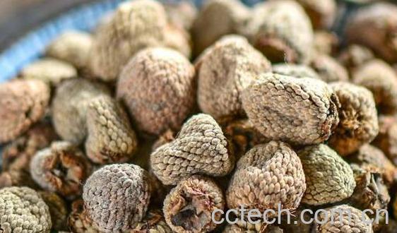 中药覆盆子对女性功效-0