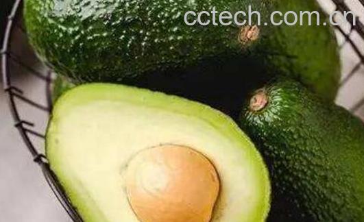 8个月婴儿怎么吃牛油果 6个月宝宝牛油果怎么吃-1