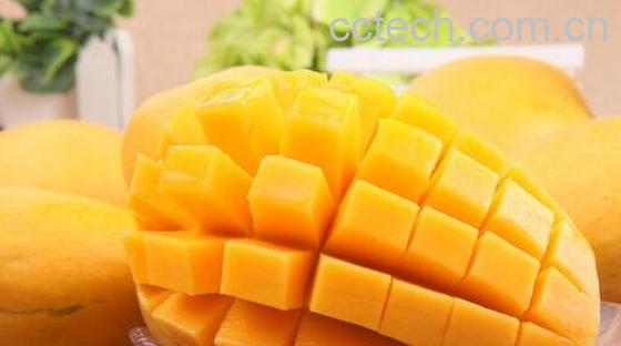 芒果过敏怎么快速消除 吃芒果过敏最简单的处理方法-1