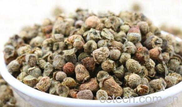 覆盆子的药用价值是什么-0