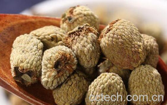 什么人适合喝覆盆子茶-1