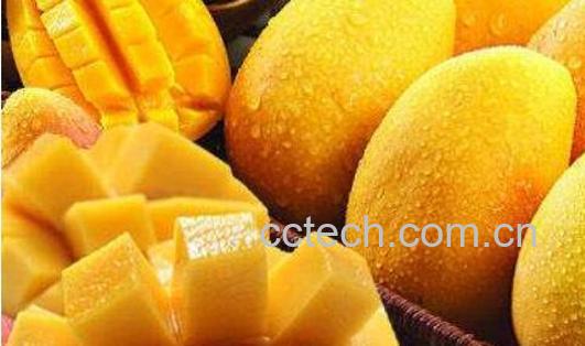 女人吃芒果的好处和坏处-1