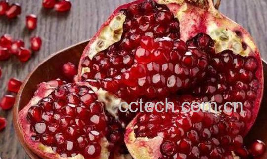 酸石榴有什么药用价值-0