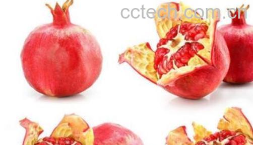 酸石榴有什么药用价值-1