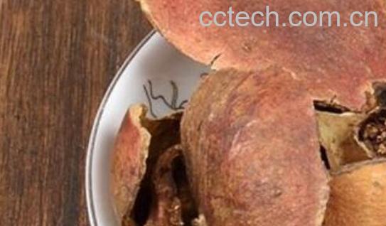 酸石榴皮的功效与作用及禁忌-0