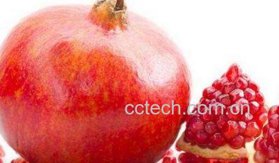 酸石榴煮水功效和作用-1