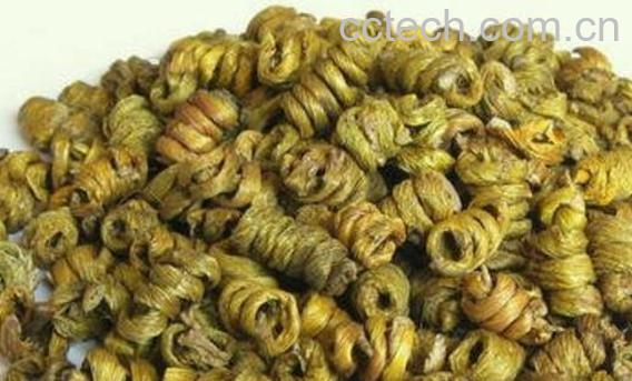 耳环石斛的功效与作用及禁忌-0