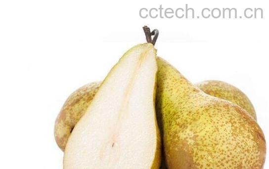 啤梨怎么吃 啤梨的食用方法-1