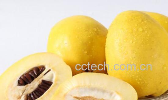 酸木瓜三七泡酒的功效-0