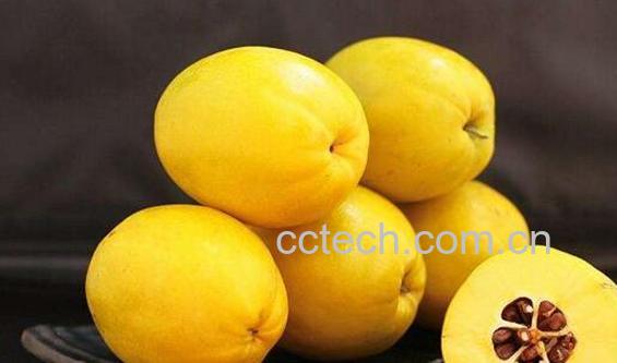 酸木瓜拐枣泡酒的功效与作用-0