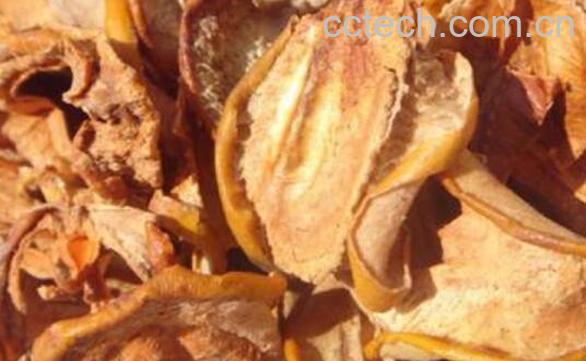 酸木瓜干泡酒的功效与作用-1