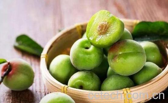 青梅乌梅的功效与作用-0