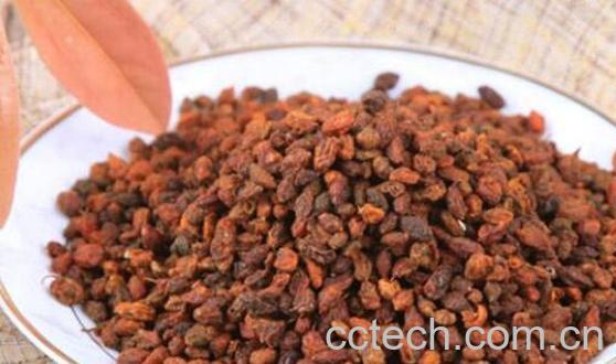 沙棘果泡水喝的功效与作用-1