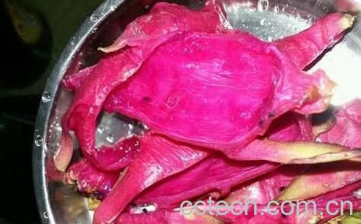 火龙果皮晒干的功效与作用-0