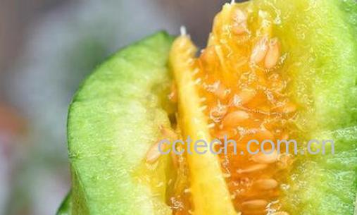 酥瓜的功效与作用-1