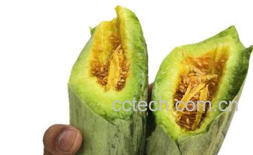 酥瓜怎么吃 酥瓜的食用方法-0