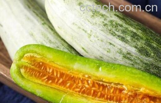 酥瓜的功效与作用-0