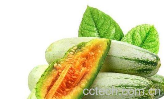 羊角脆甜瓜什么时候种 羊角脆怎么种-0