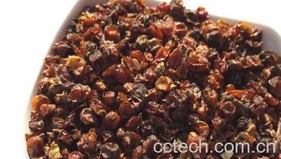 沙棘籽怎么吃 沙棘籽的食用方法 -1