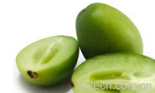 青橄榄泡水的功效与作用 青橄榄怎么泡水-0