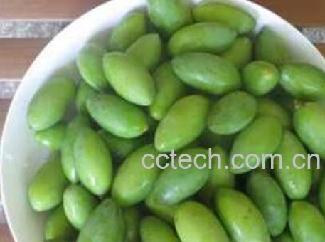 新鲜青果怎么吃最好 青果的食用方法技巧-0