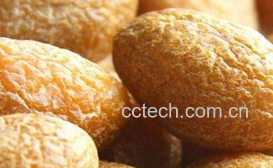 咸橄榄的功效与作用-1